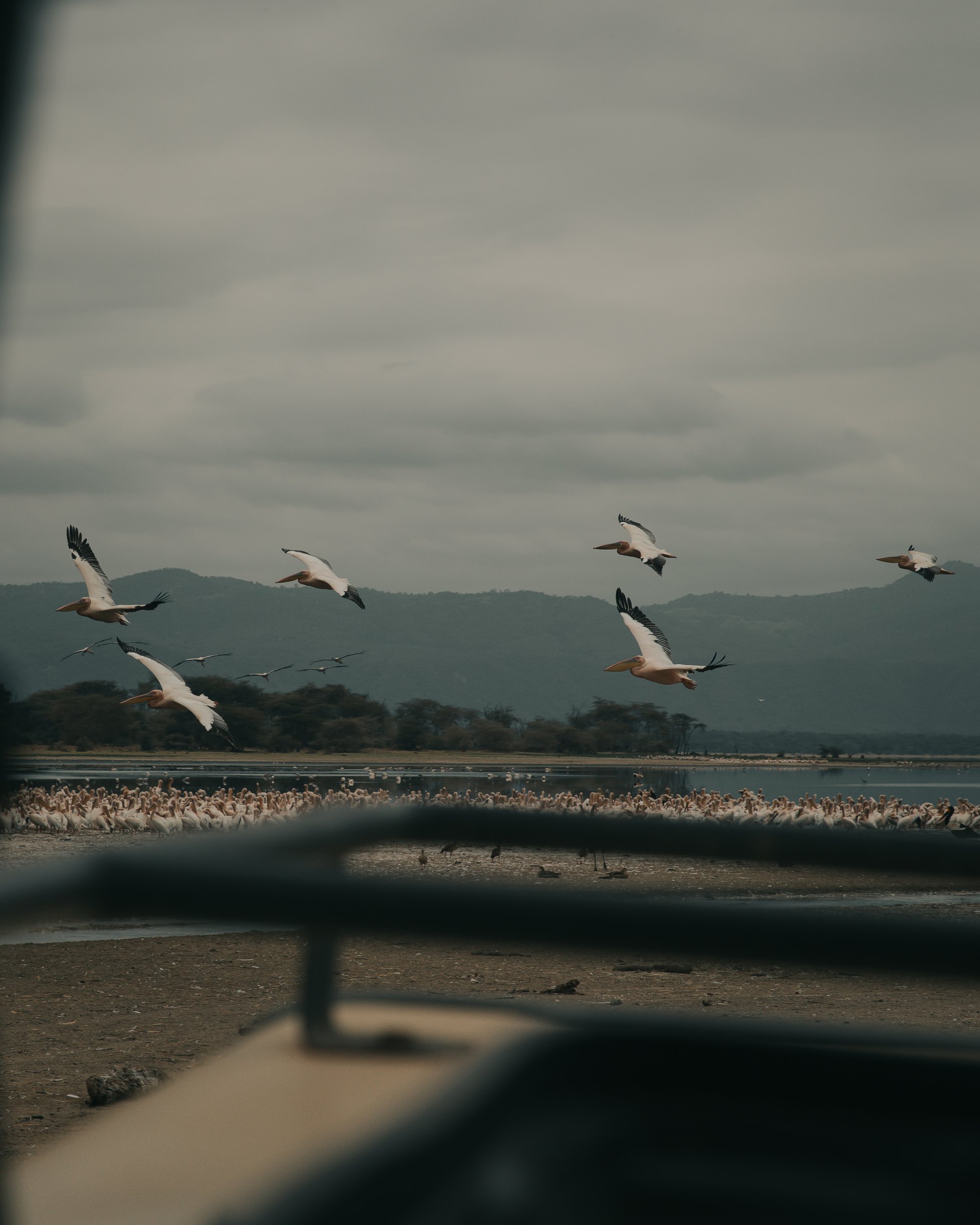 Birds and landscape in Africa