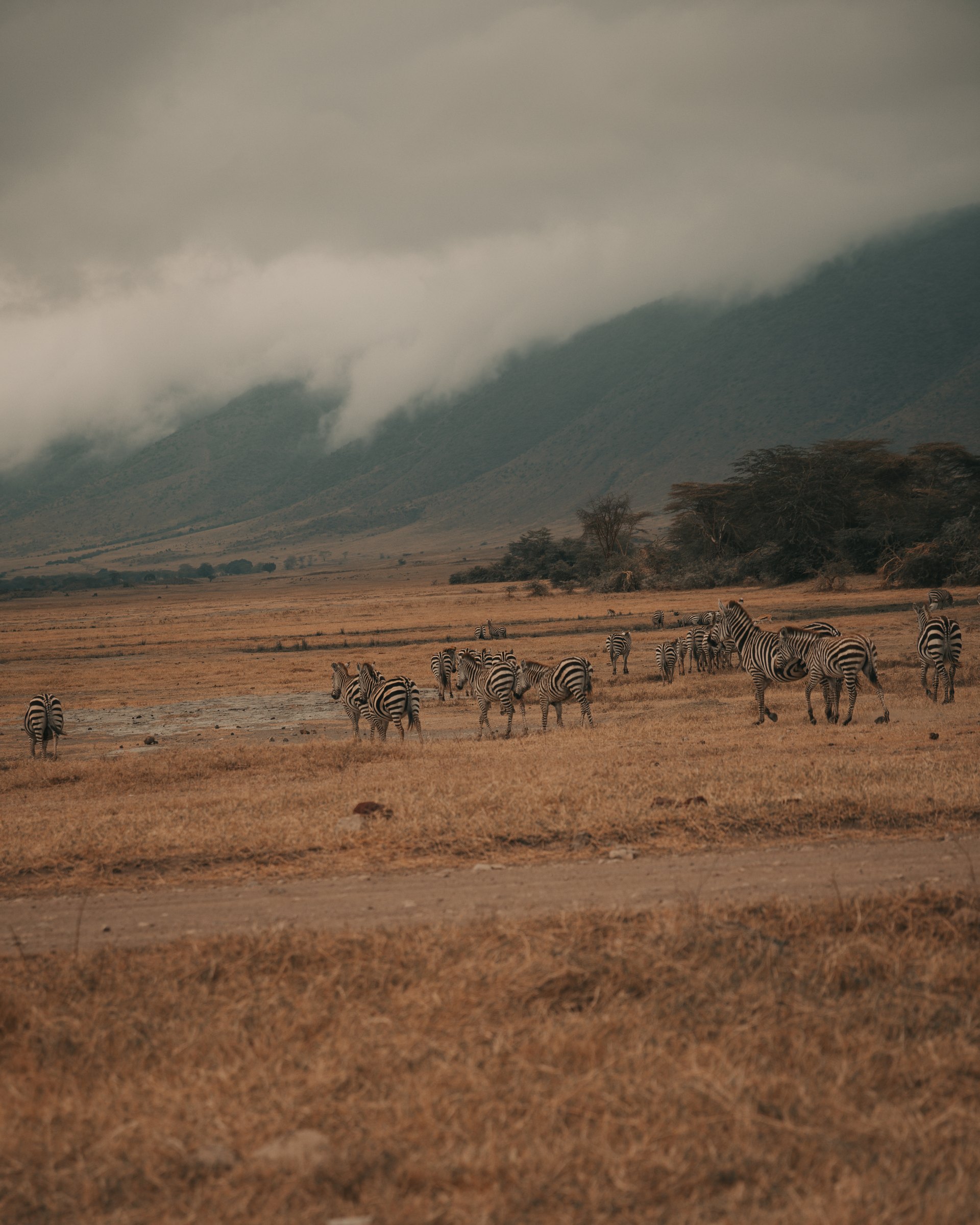 Africa personal photography