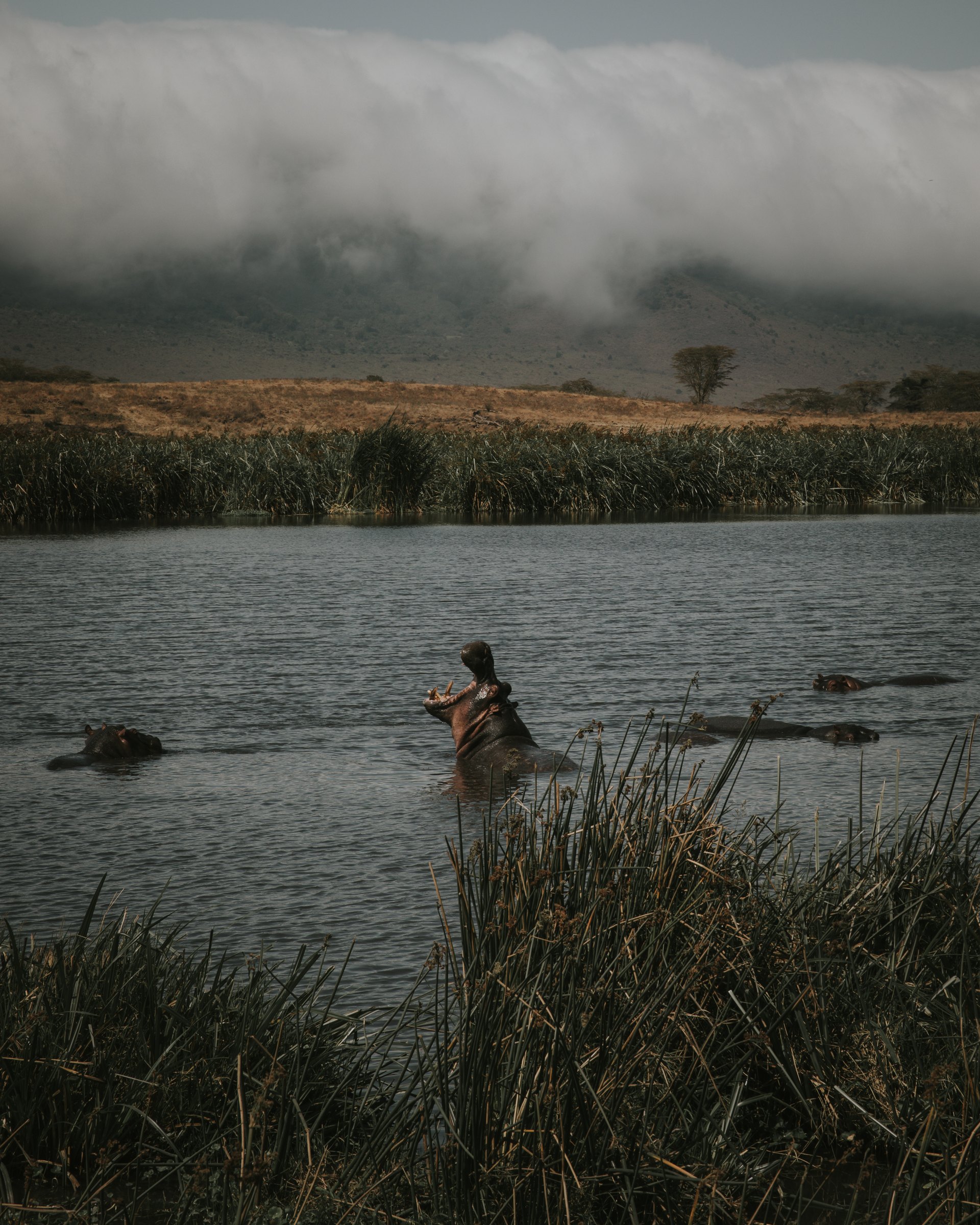 Africa personal photography