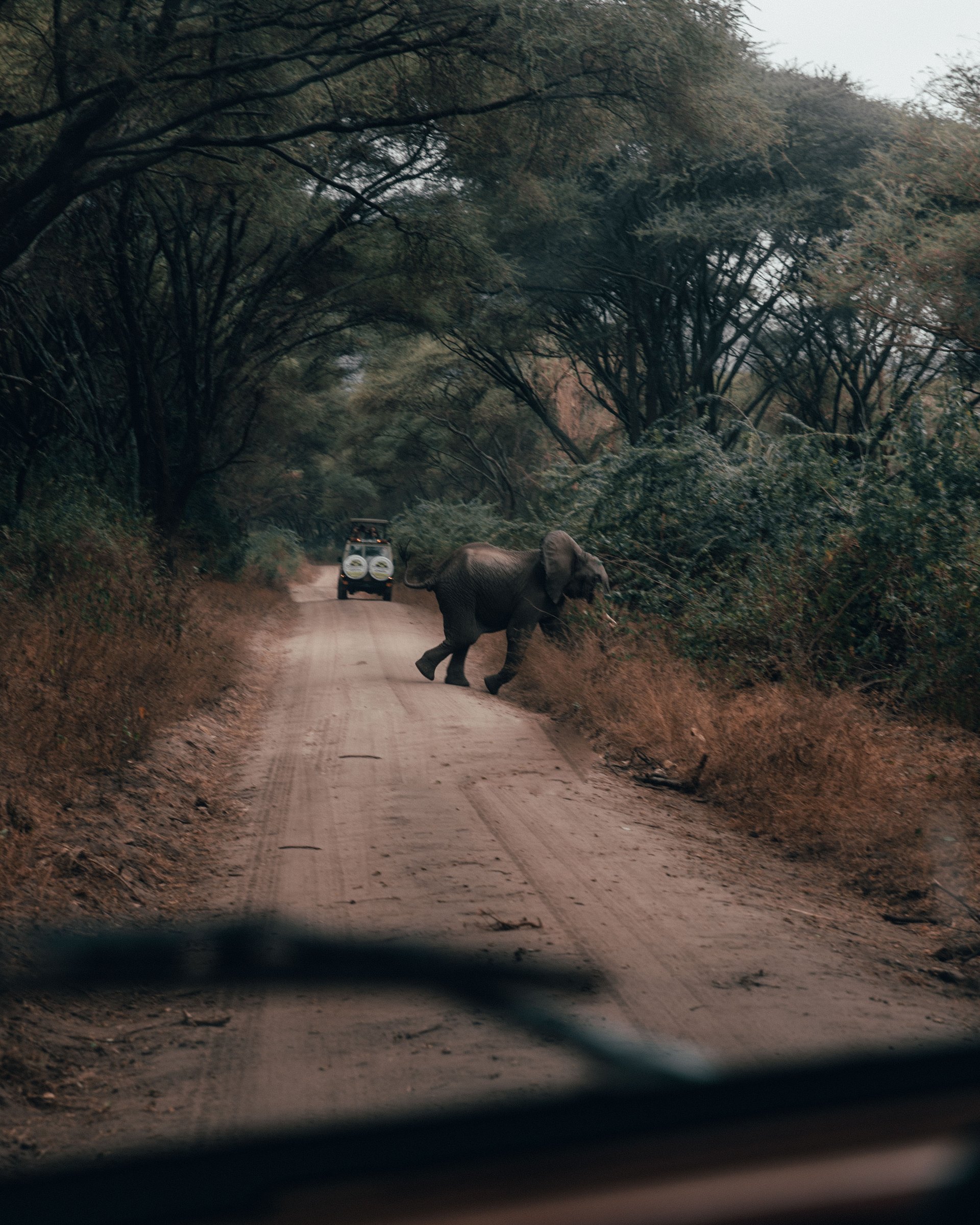 Africa personal photography