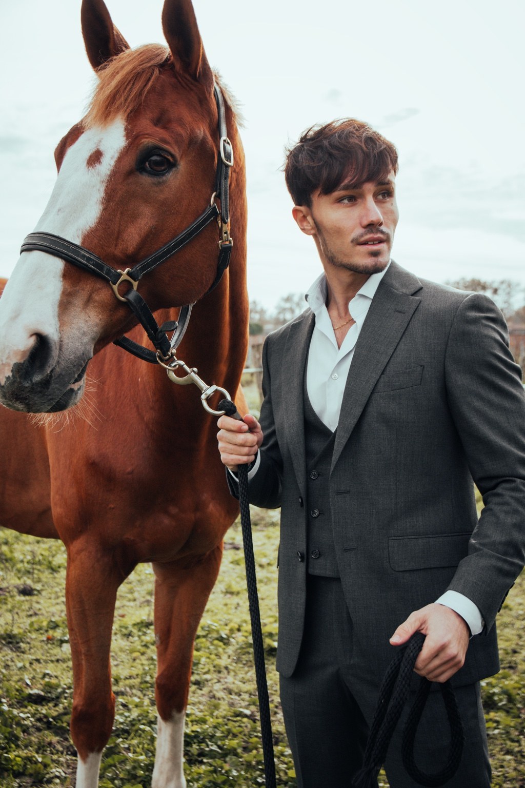 Les Nouveaux Ateliers horse editorial