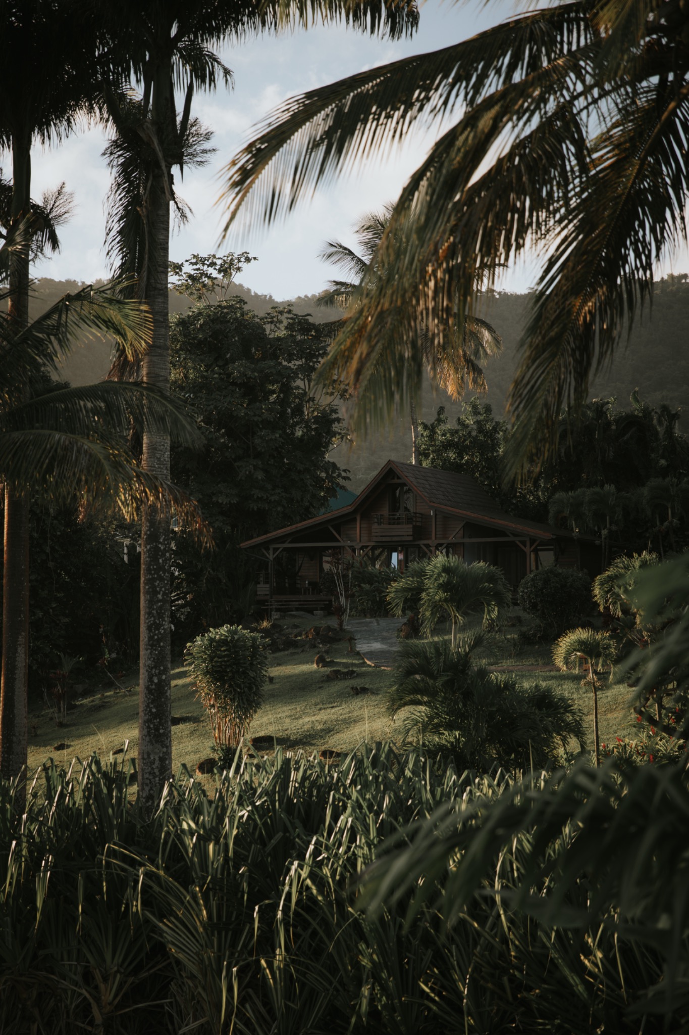 Tropical house surrounded by palms