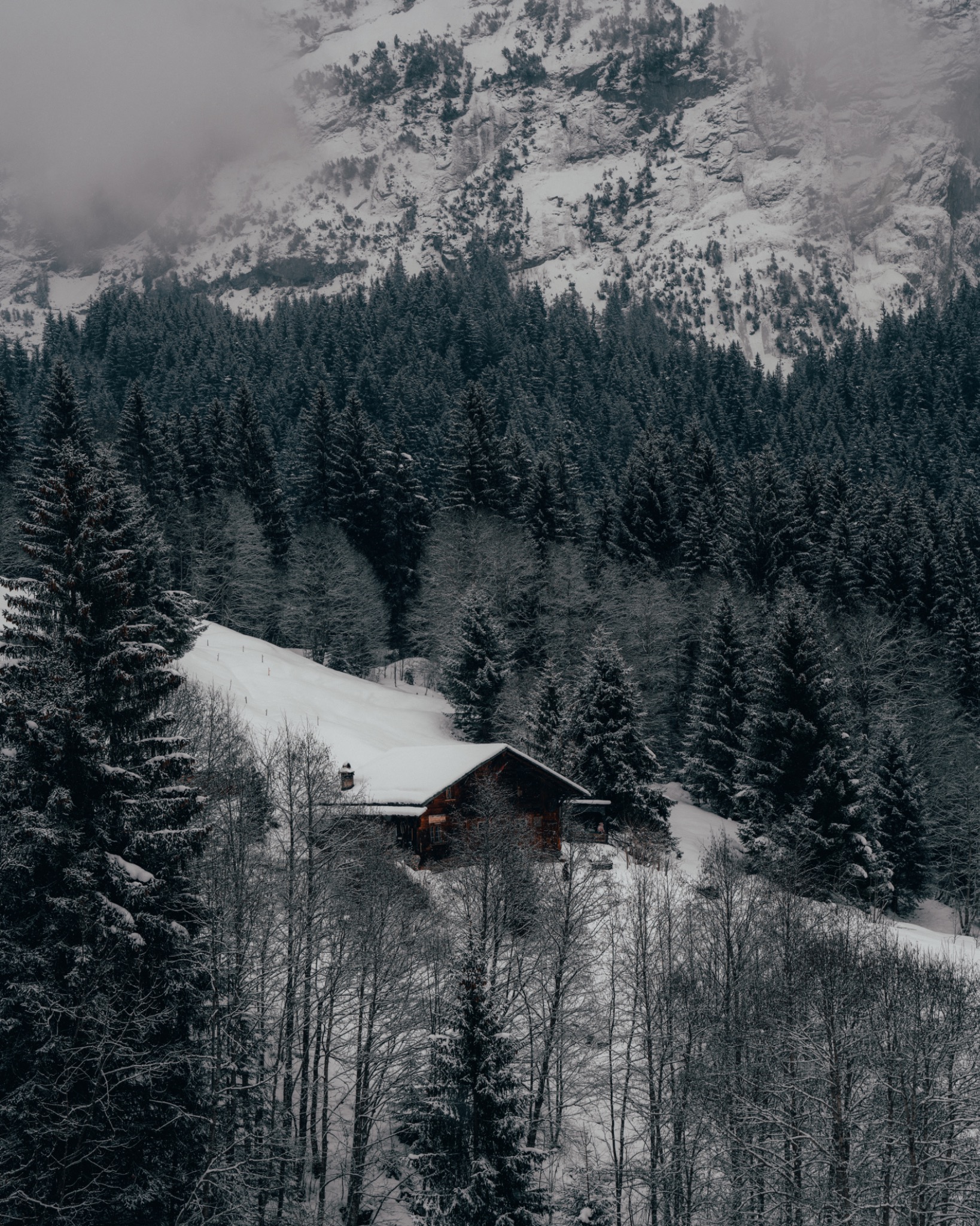 Cabin in a snowy forest