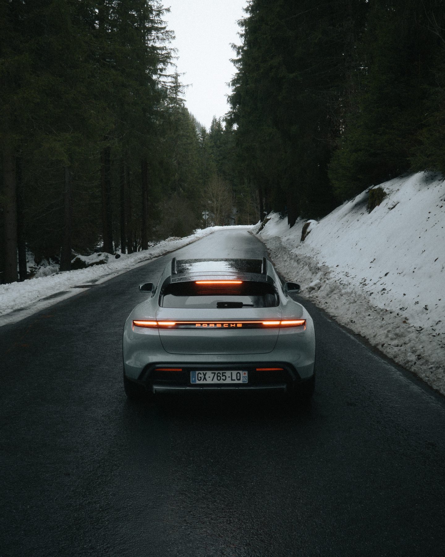 Porsche rear view on a forest road