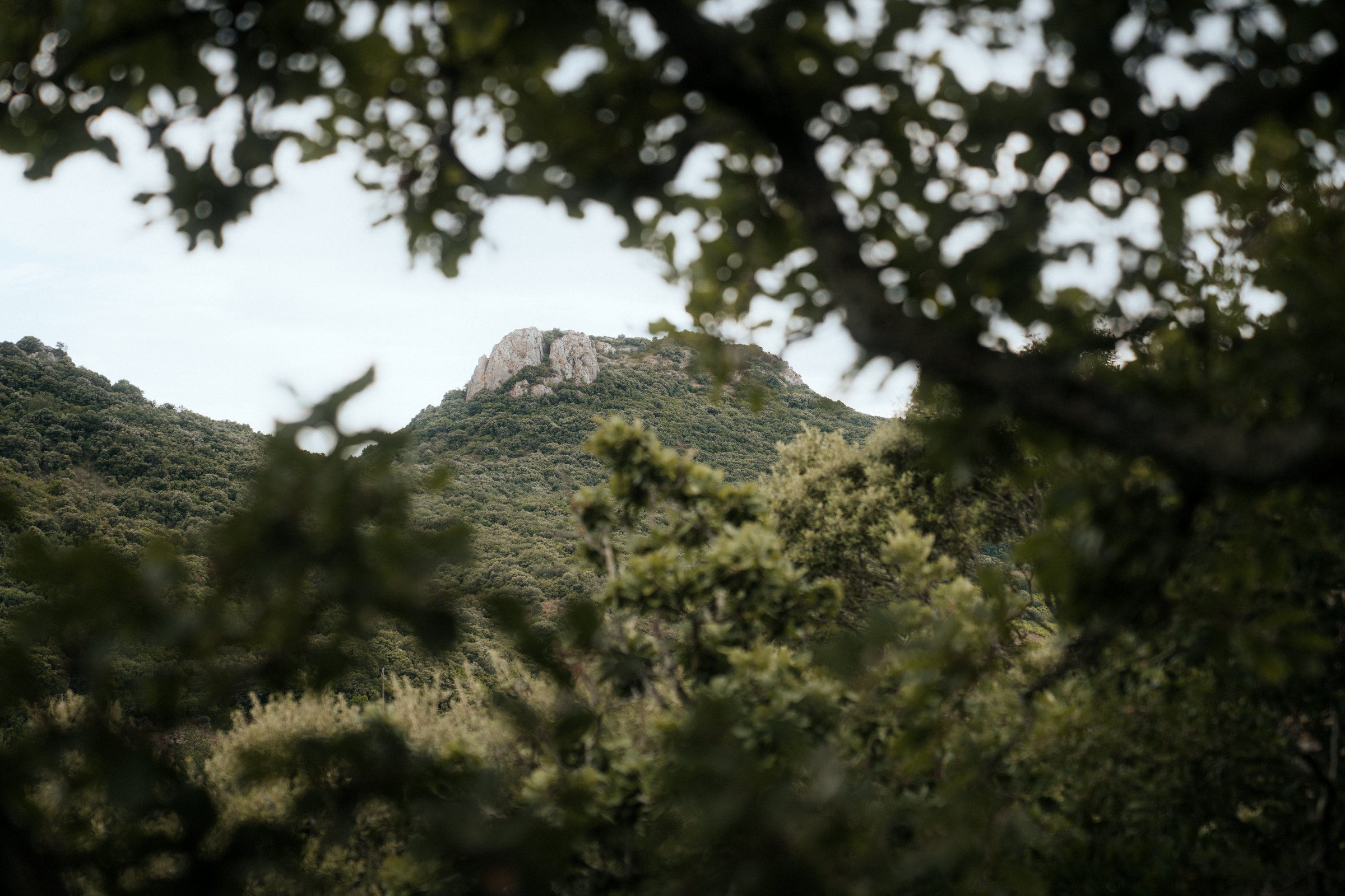 Souki Lodges & Spa landscape