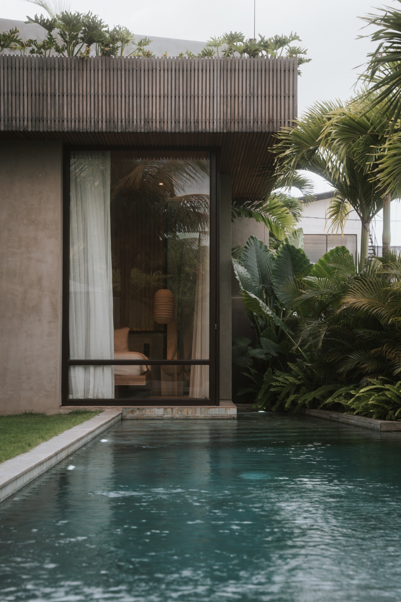 Villa Caligo pool and tropical greenery